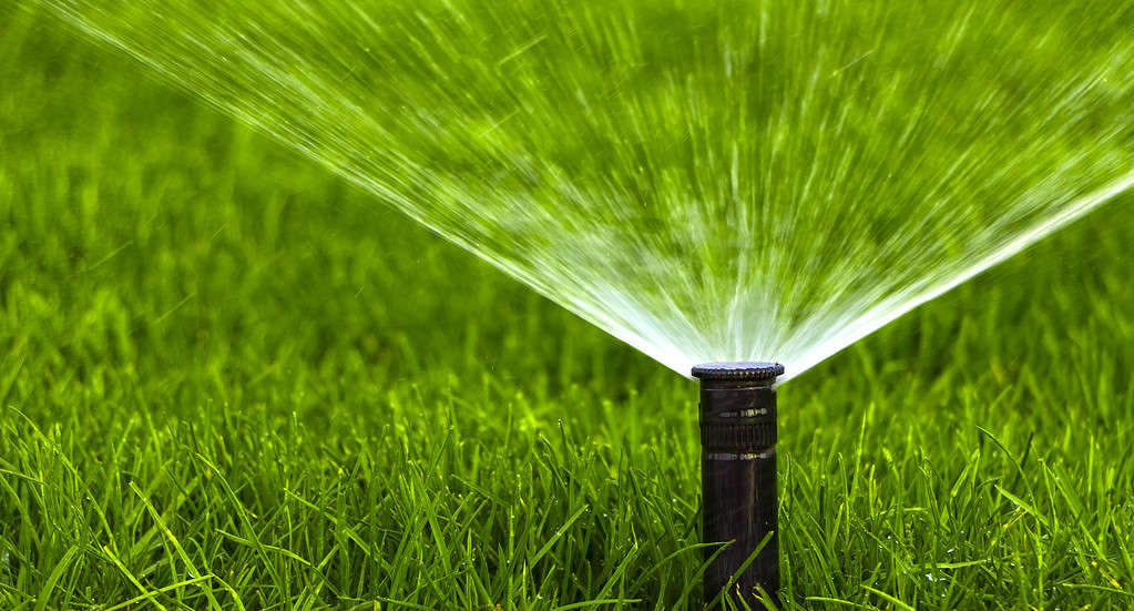 Sprinkler on grass