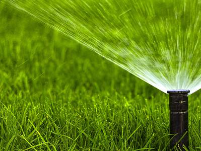 A When Is the Best Time to Water Your Lawn? 8 Tips and Tricks 