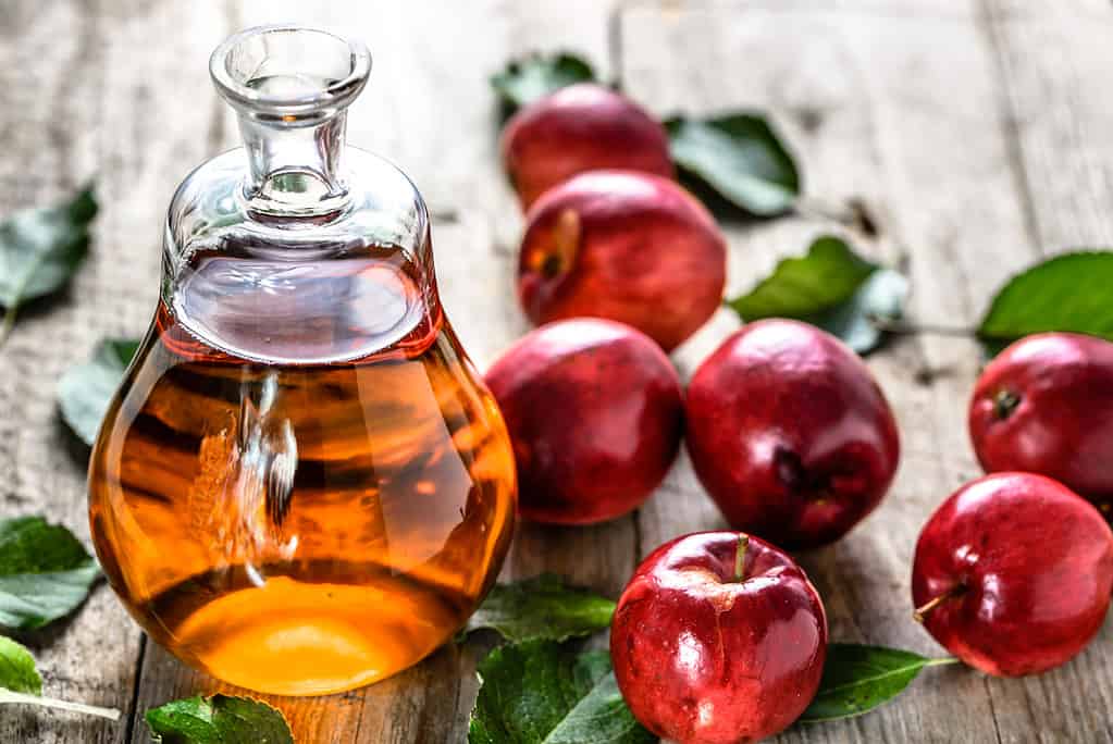 Apple cider vinegar is a natural, effective way to rid your home of gnats