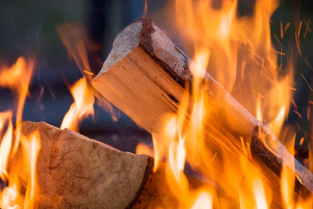 burning wood pile