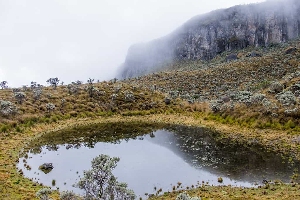 Los Nevados National Natural Park, Colombia