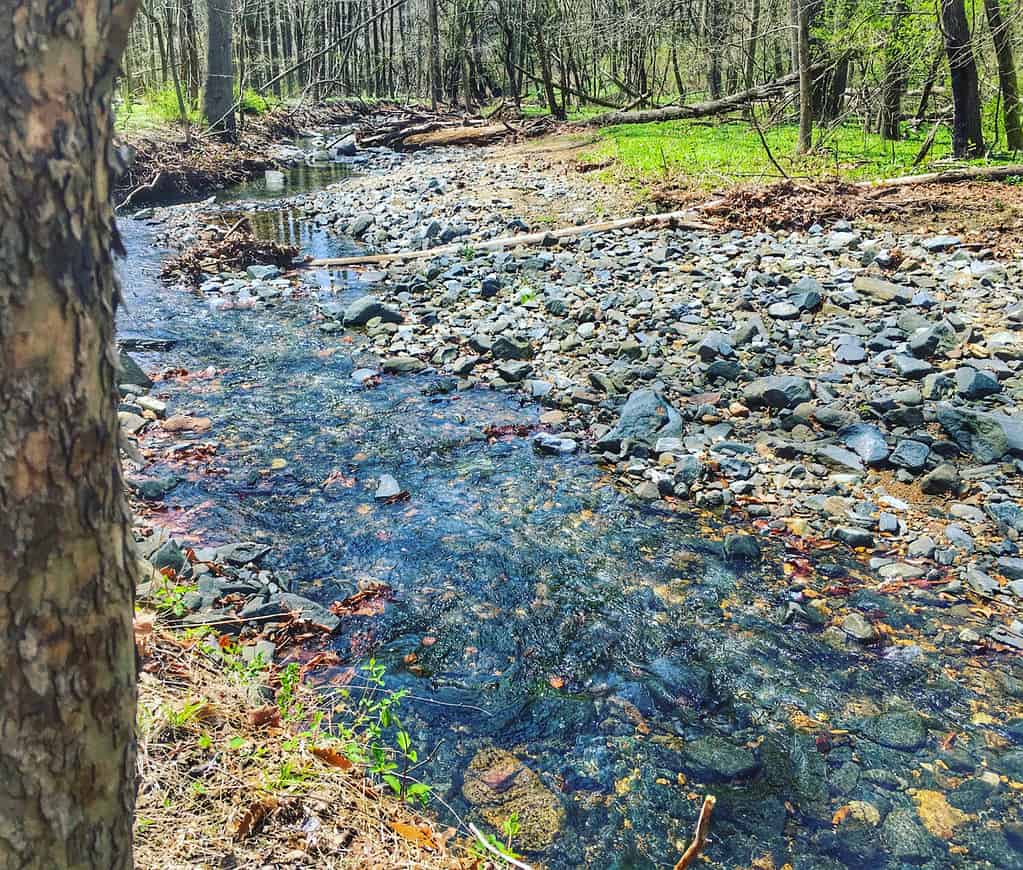 River flow in the Patapsco Valley State Park in Catonsville, Maryland