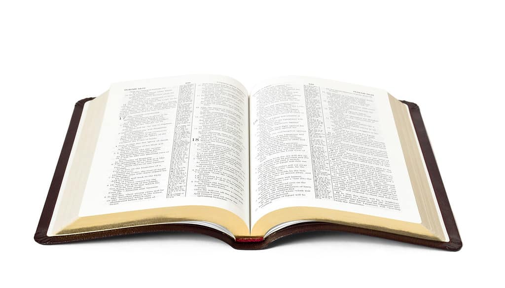 open Holy Bible book isolated on white background