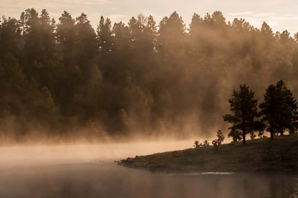 Early morning finds the fog providing a mystical view at Hawley Lake in Arizona