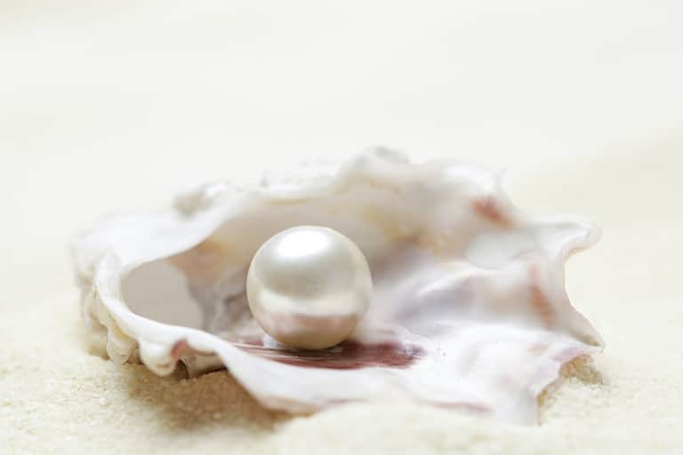 Close up image of organic pearl in a shell