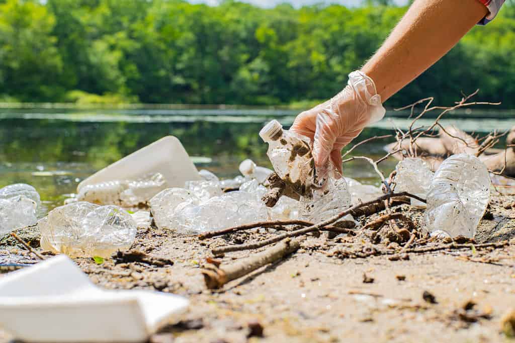 Volunteers cleaning garbage near river. Women picking up a bottle plastic in the lake, pollution and environment. Ecology concept