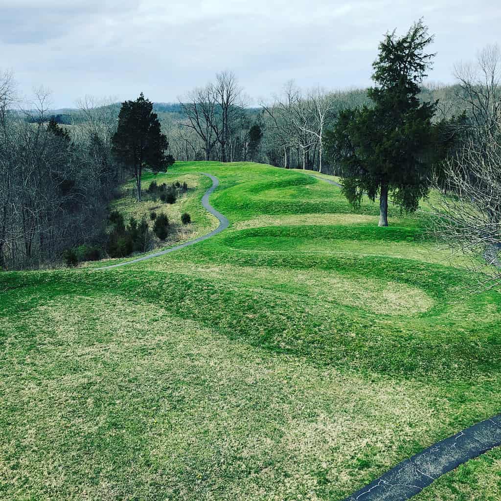 View of the great Serpent Mound.