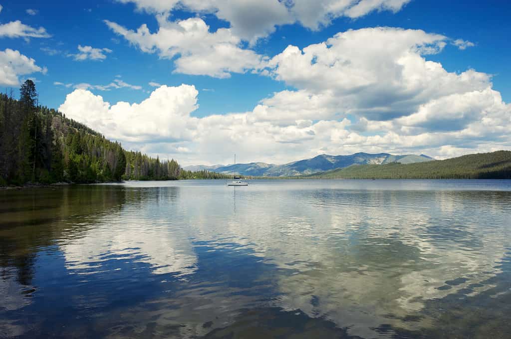 Panoramic view of puffy white clouds reflecting on the surface of a tranquil Alturas Lake in the Rocky Mountains of Idaho, USA