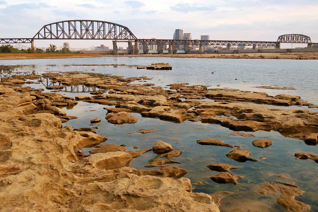 The river bed in the Falls of the Ohio State Park contain fossils from the Devonian period