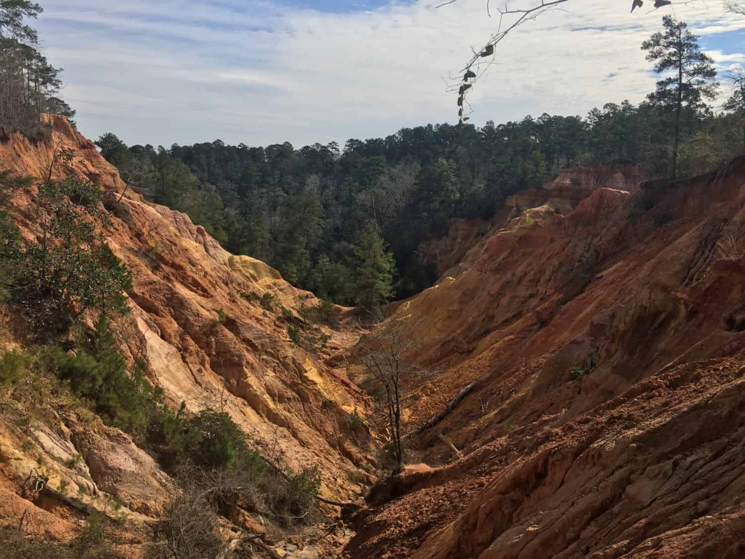 Discover 5 of the Oldest Cities in Mississippi AZ Animals