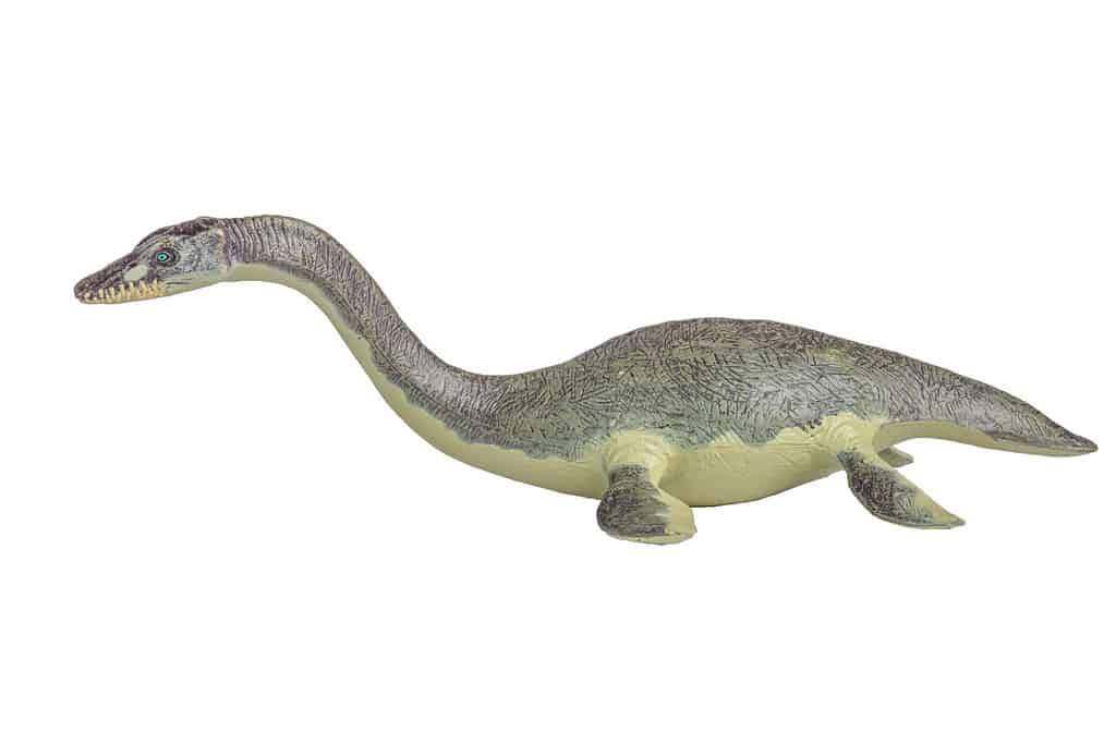 shot of a realistic scale model of a plesiosaur, with white background