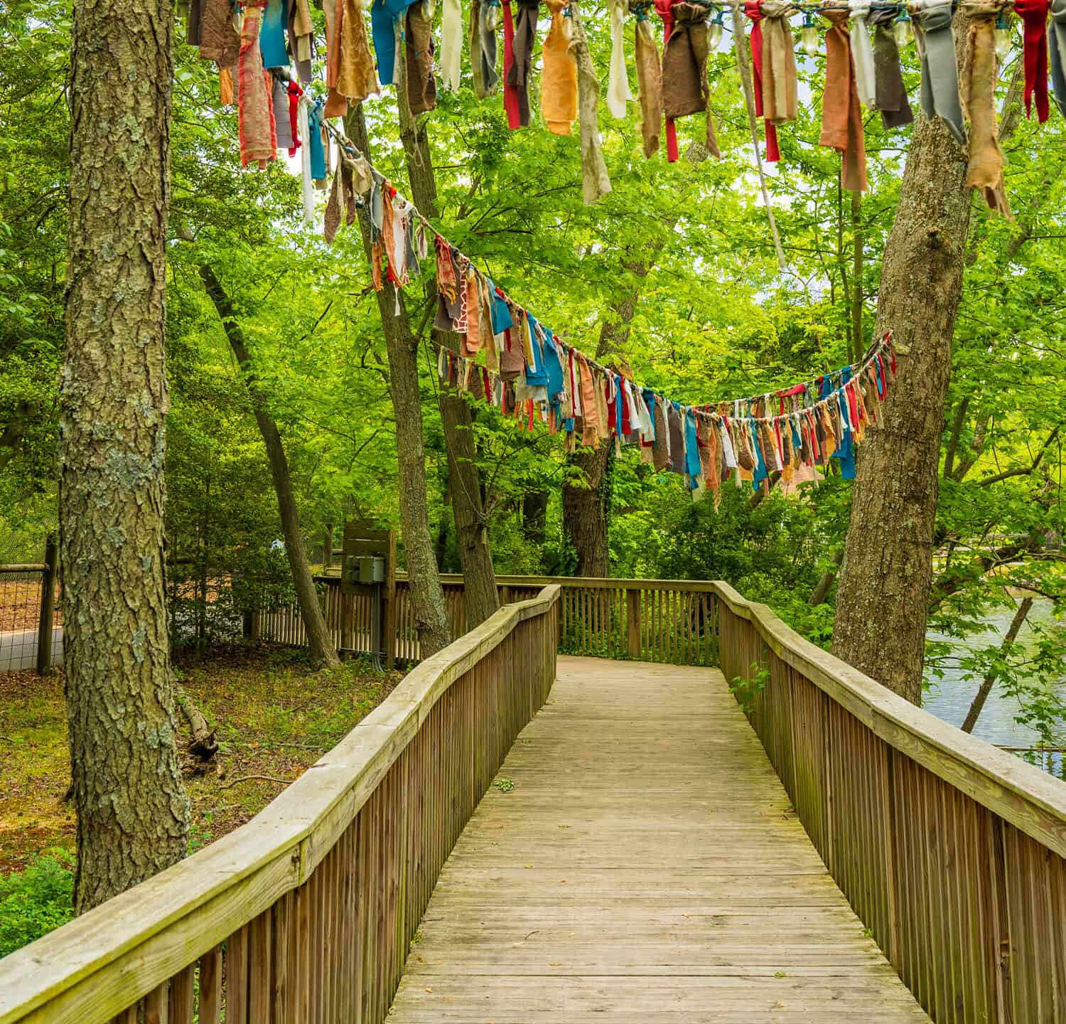 colorful strips of fabric hang from ropes above the boardwalk within the Cohanzick Zoo in Bridgeton, New Jersey