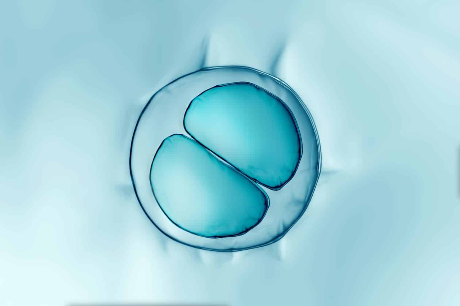 Cells division process, Cell divides into two cells	