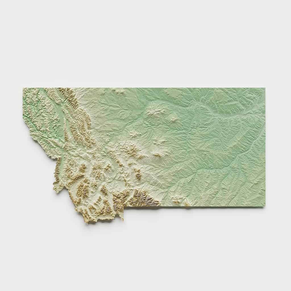 Montana Topographic Relief Map - 3D Render