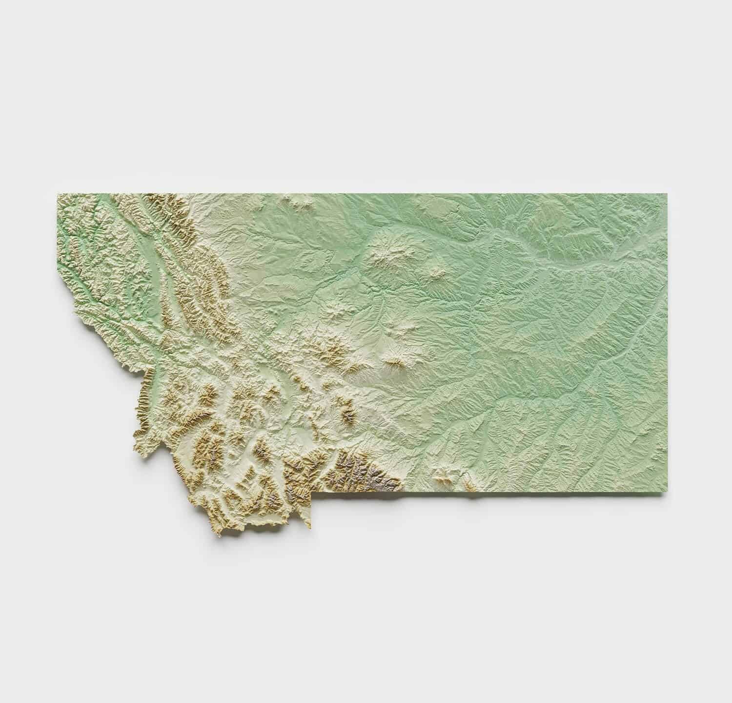 Montana Topographic Relief Map - 3D Render