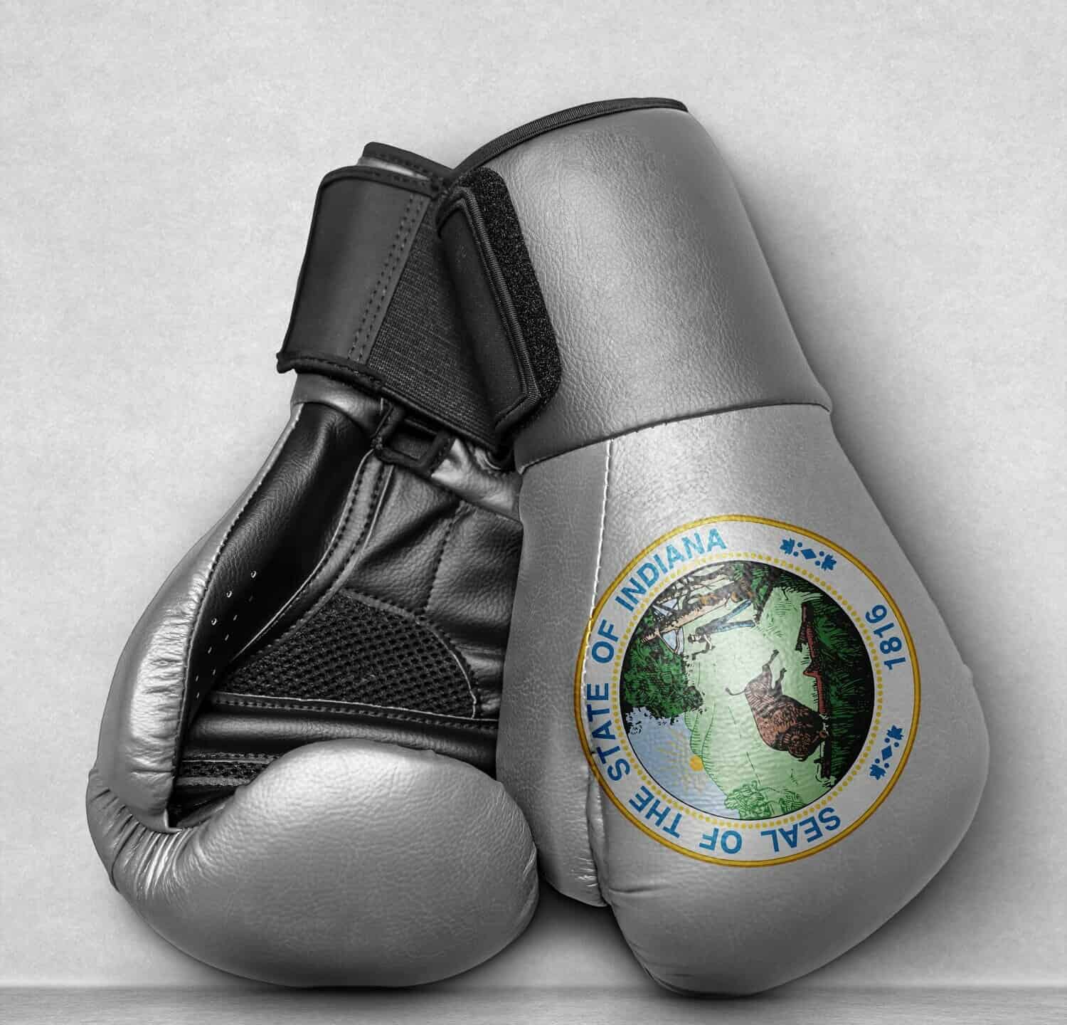 Indiana United States Seal country State Boxing Gloves on flor with country flag painted on