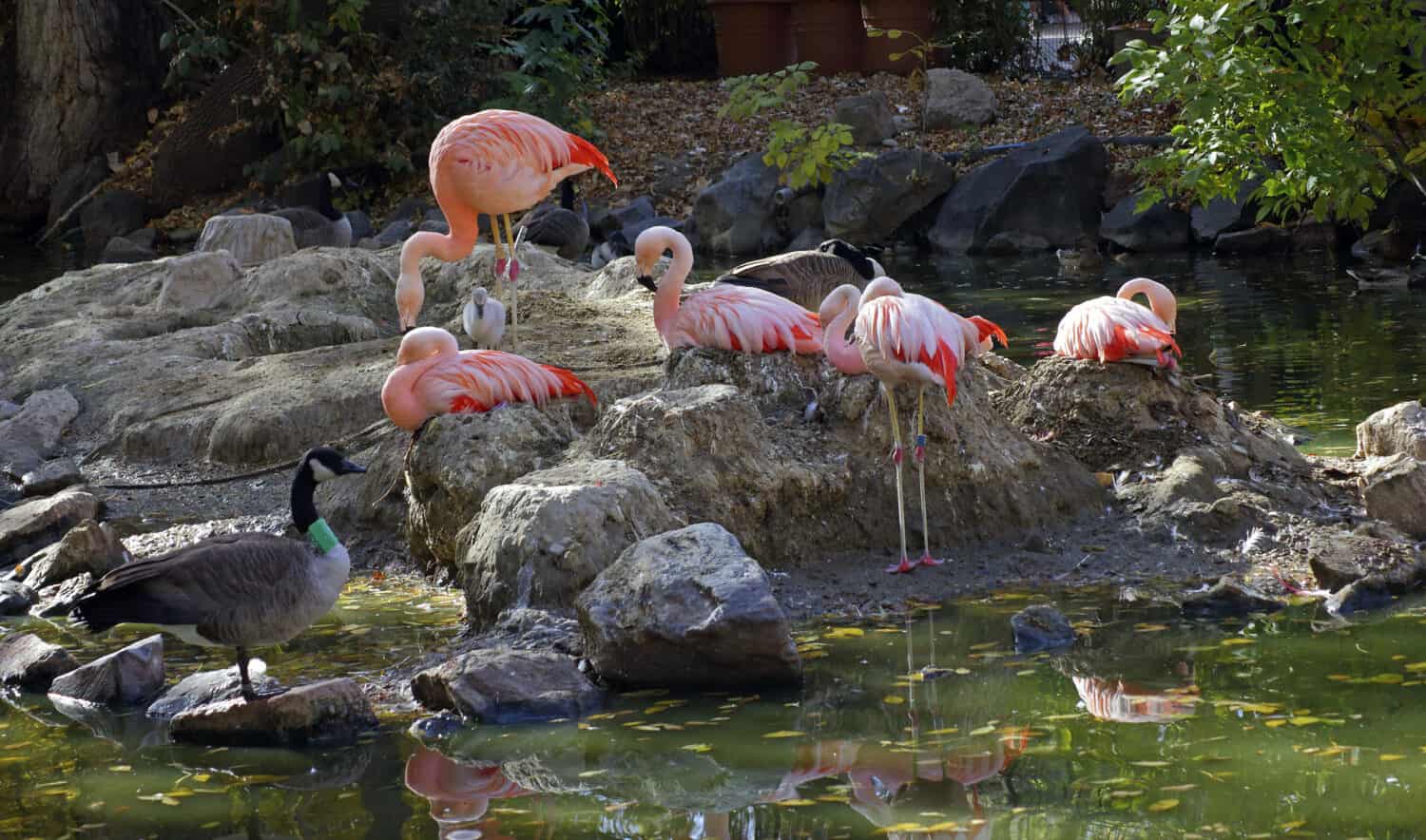 7 Incredible Aquariums And Zoos In Colorado AZ Animals