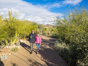 The 10 Best Botanical Gardens in Arizona Picture