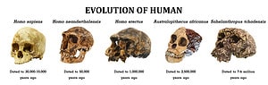 The 10 Oldest Human Fossils Ever Found Picture