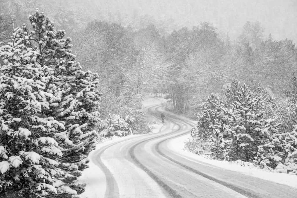 Fall River Road and aspen trees in Rocky Mountain National Park, Colorado, photo taken during a snowstorm. One unrecognizable man is standing in the road at the center of an "S" curve.