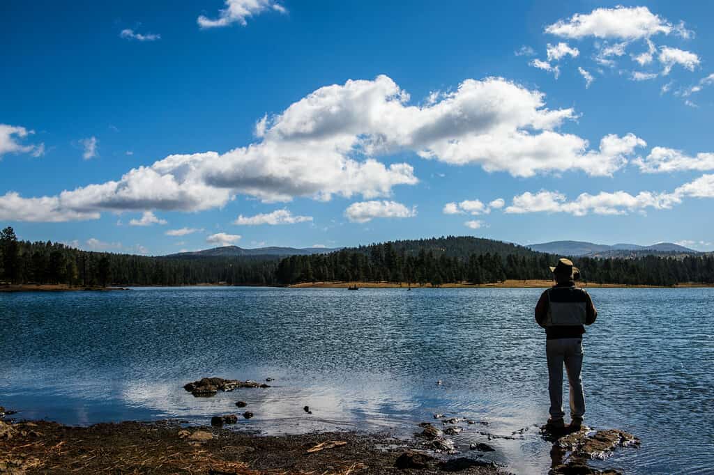 Hawley Lake Arizona