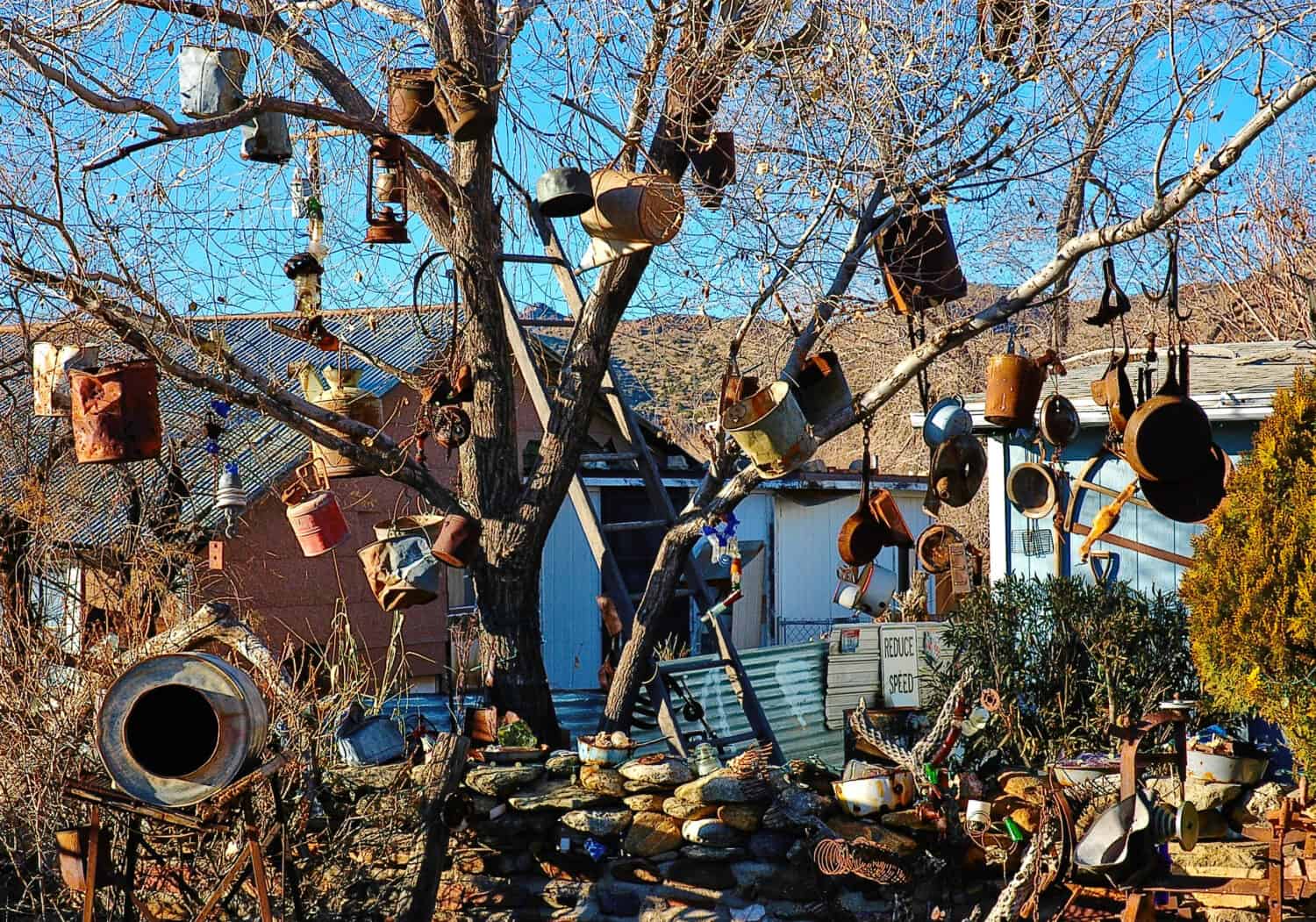 collection of rusted metal cans, buckets and other objects hanging from a tree against a desert landscape
