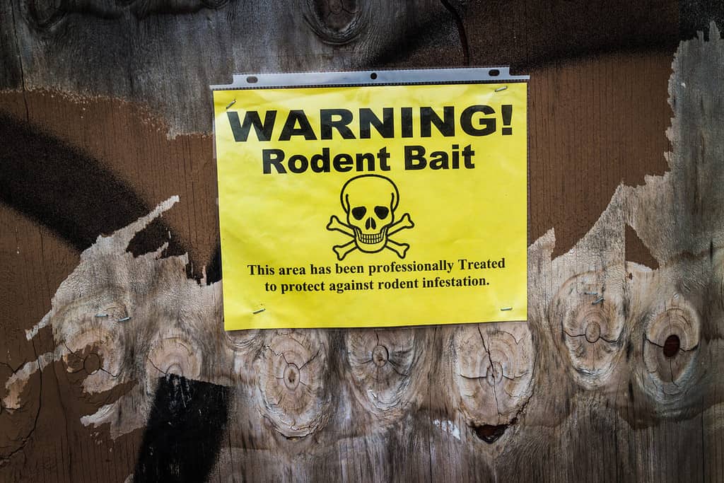 Warning rodent bait warning sign on a boarded up building