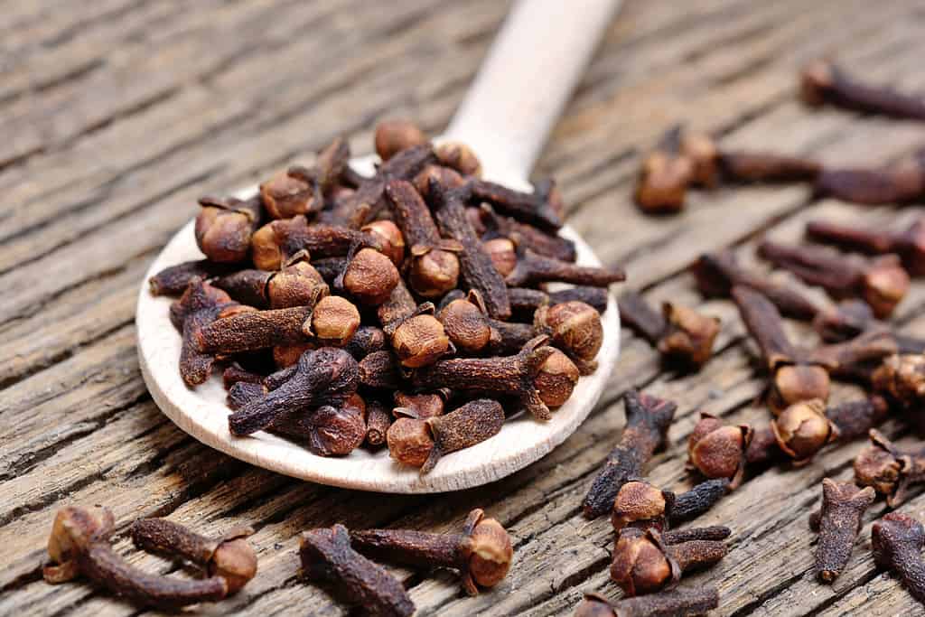 Wooden spoon with cloves on rustic table