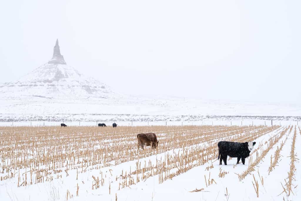Bayard Nebraska during the winter