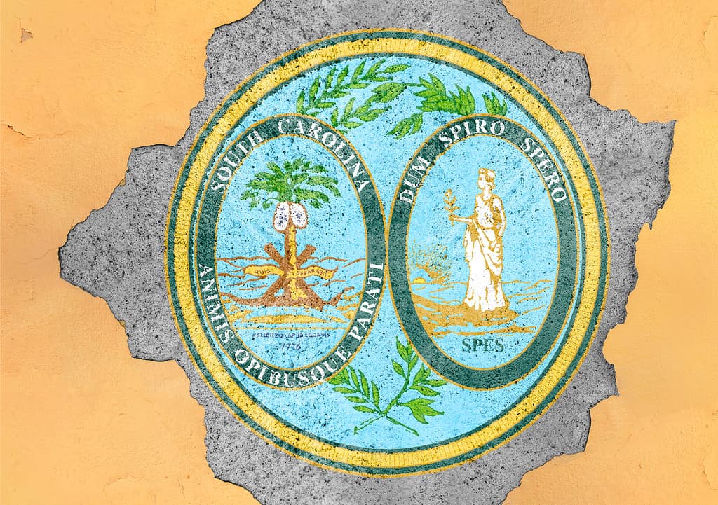 State seal of South Carolina on concrete