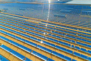 Discover the Largest Solar Farm in California (And What Lives Around It) Picture