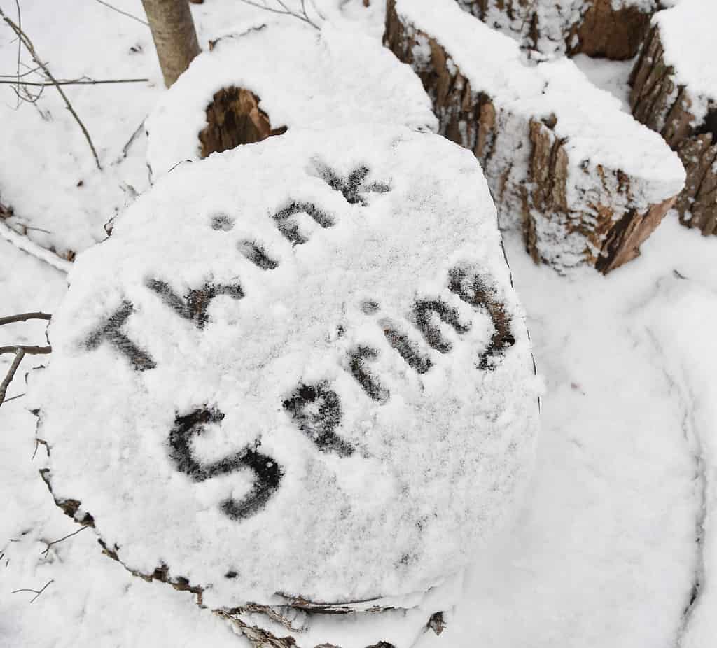 The words "think spring" written in fresh snow on an old log in New England after a snowfall in March.