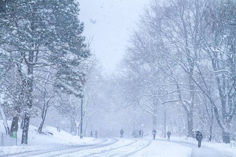 New York City Central Park Snow in Winter Storm