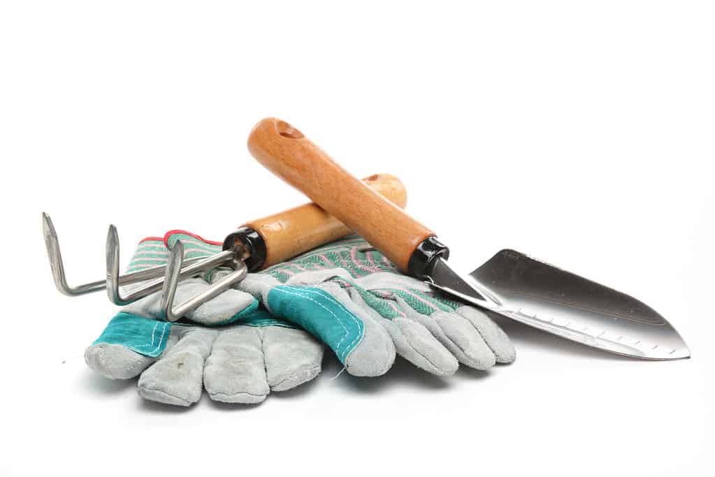White isolate with a wooden-handled hand rake and wooden-handled hand spade, with their handles crossed in an "x" atop a pair of light grey suede gardening gloves with aqua blue accents.