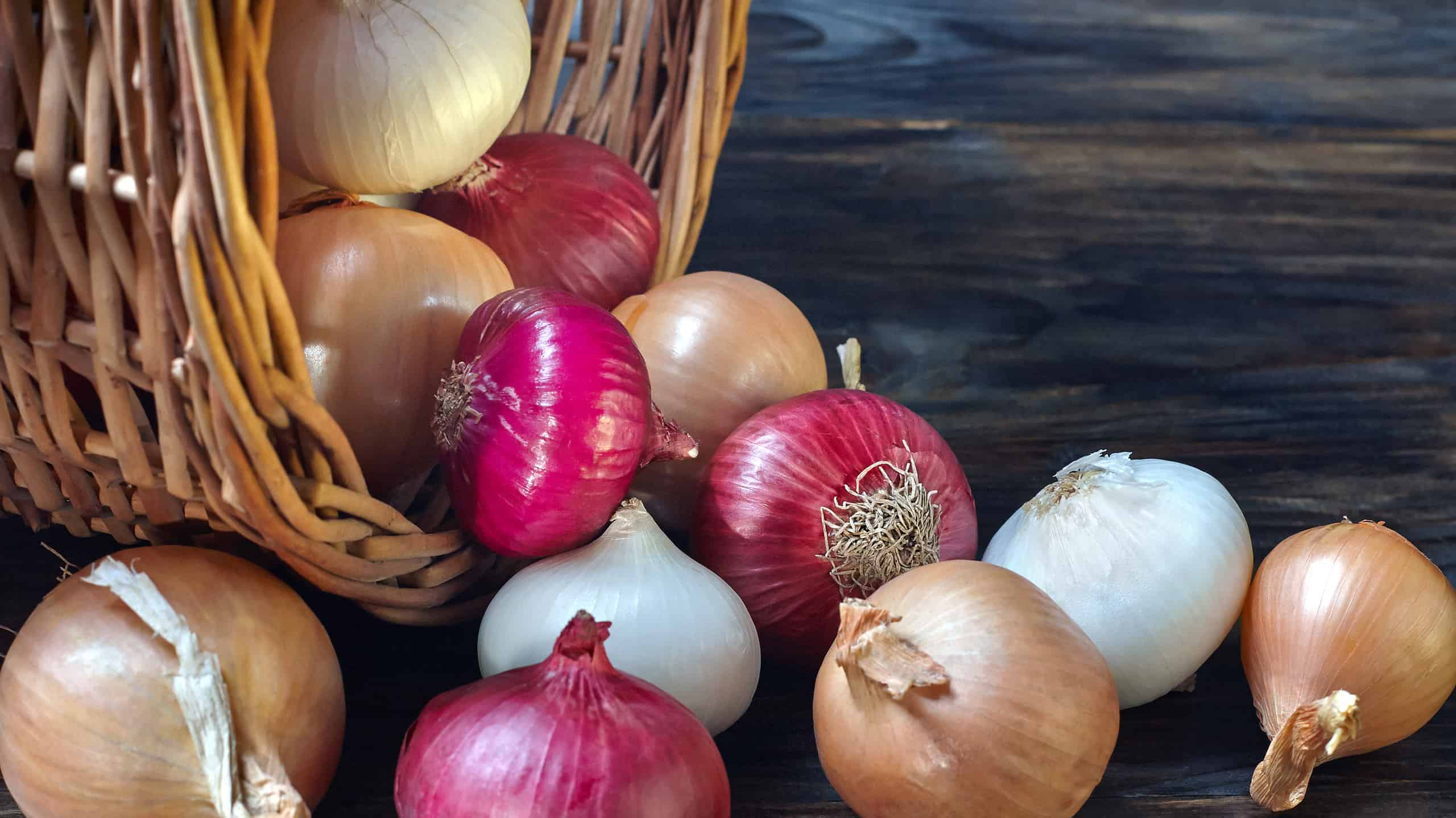 Onions of various varieties is poured out of the basket. A dark background, close-up.
