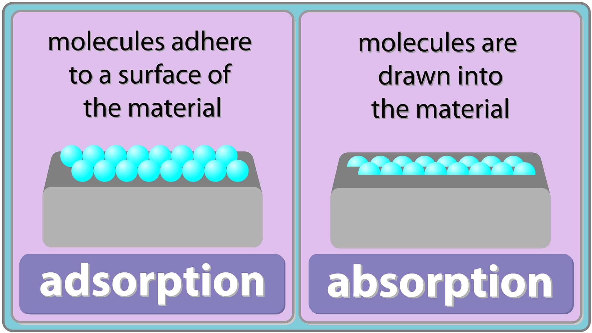 Absorption Vs Adsorption: Key Differences And Examples - AZ Animals