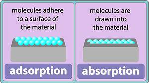 Absorption vs Adsorption: Key Differences and Examples Picture
