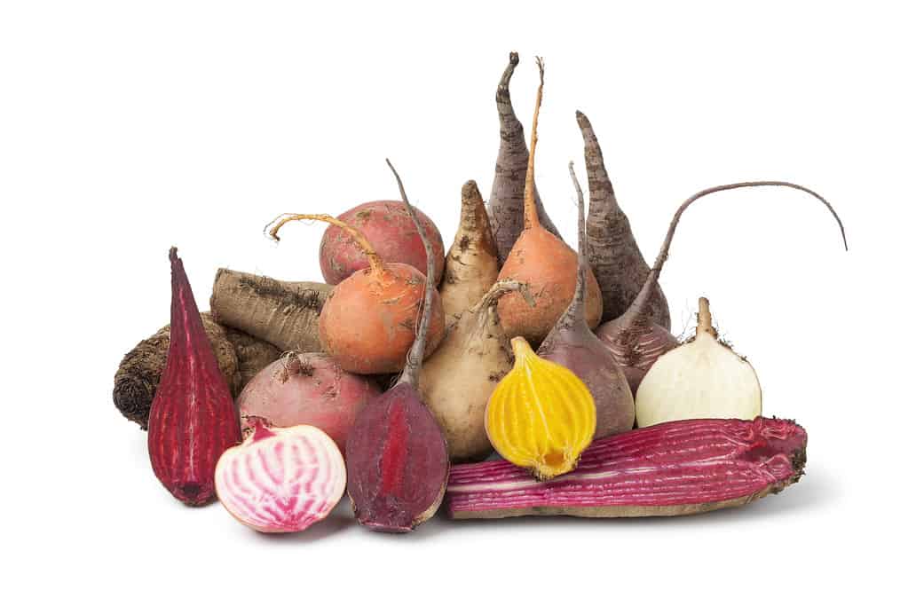 Variety of whole and half multi Colored beets isolated on white background