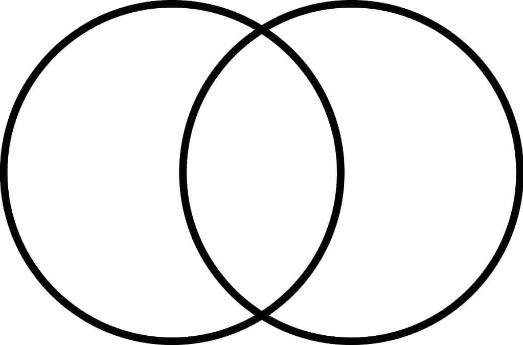 shape of two overlapping circles