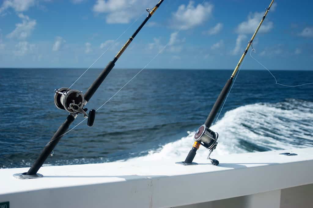 Deep sea fishing rod and reel(s) using squid as a live bait in the Gulf of Mexico off the shore of Orange Beach, Alabama during the red snapper season.