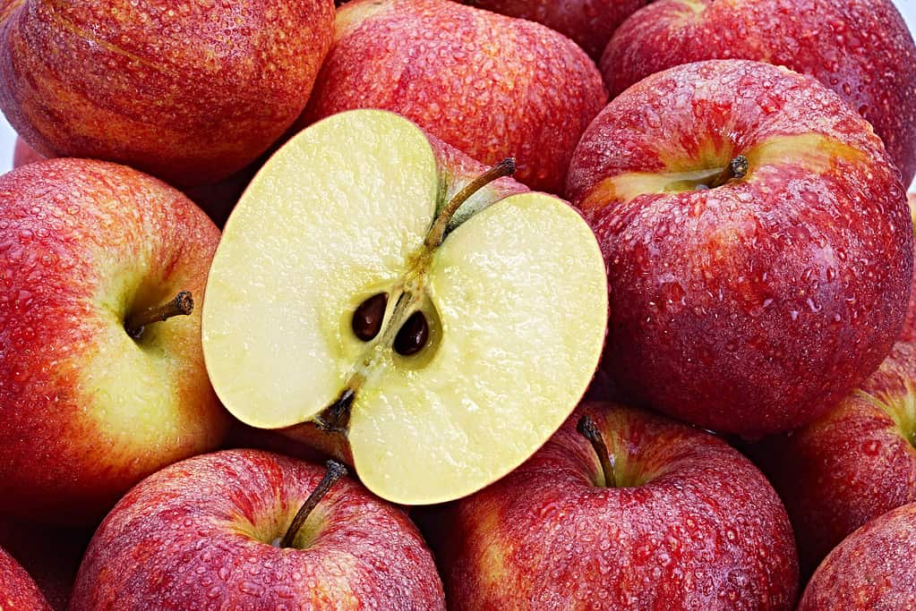 Several Red Apples with an apple cut in half, exposing its seed in the foreground