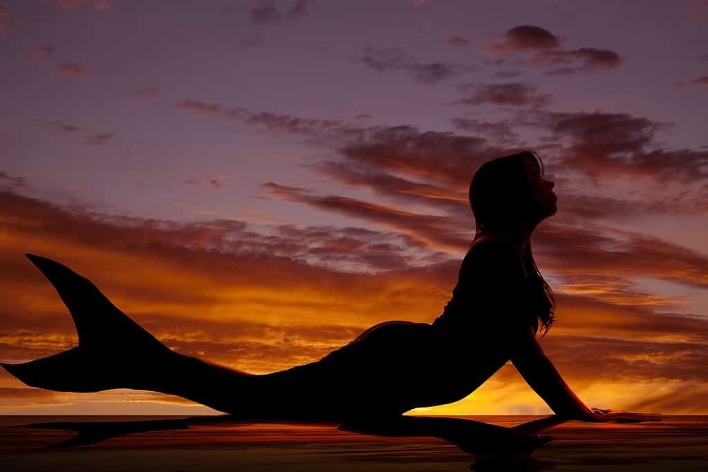 Mermaid silhouette and sunset