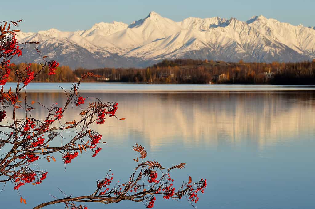 Beautiful,Wasilla,Lake,,Wasilla,,Alaska