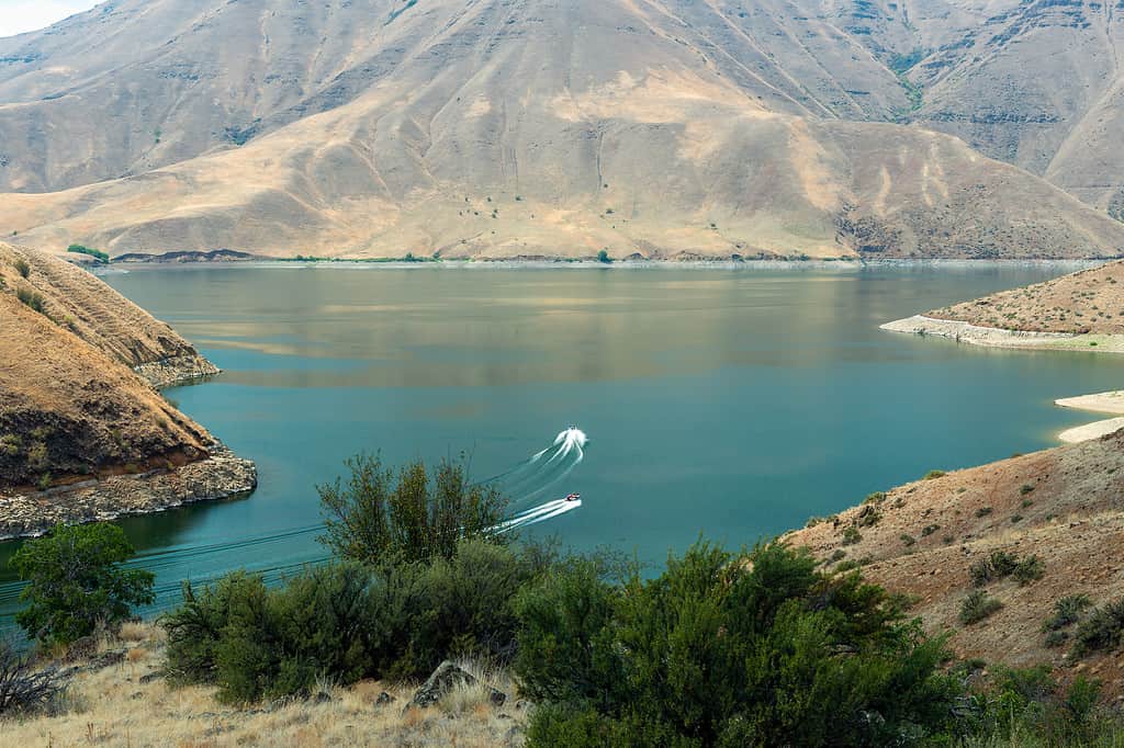 Aerial view of fishing boats moving across Brownlee Reservoir in Oregon.