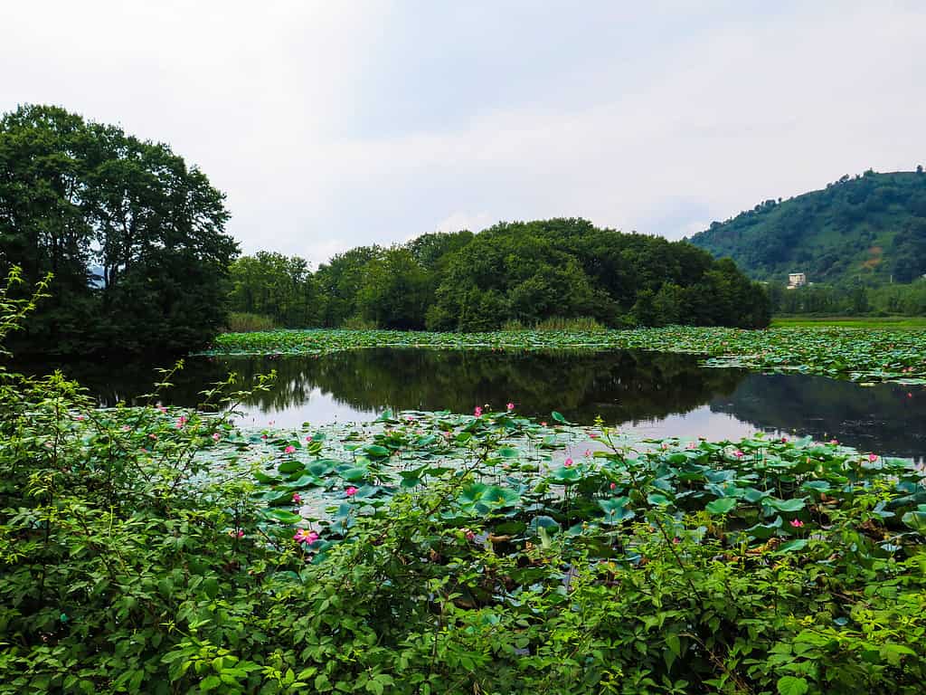 The soostan lagoon