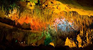 Discover The Biggest Cave In Florida (And See The Snakes And Spiders Living Inside) Picture