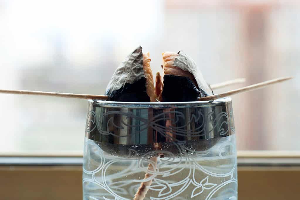 Close-up of a sprouting avocado pit in a clear glass which contains water. The oil is being supported by tooth picks. White roots are visible in the water.