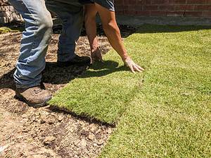 Discover the Best Time of Year to Install Sod… The Answer Might Surprise You Picture