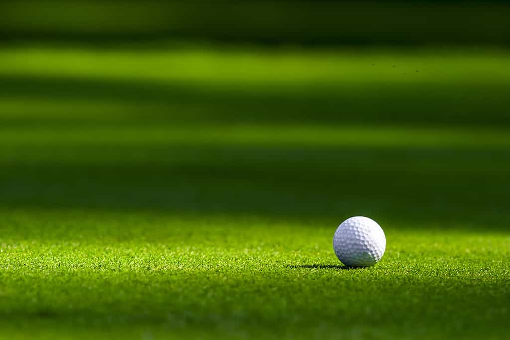 White, dimpled golf ball on the green
