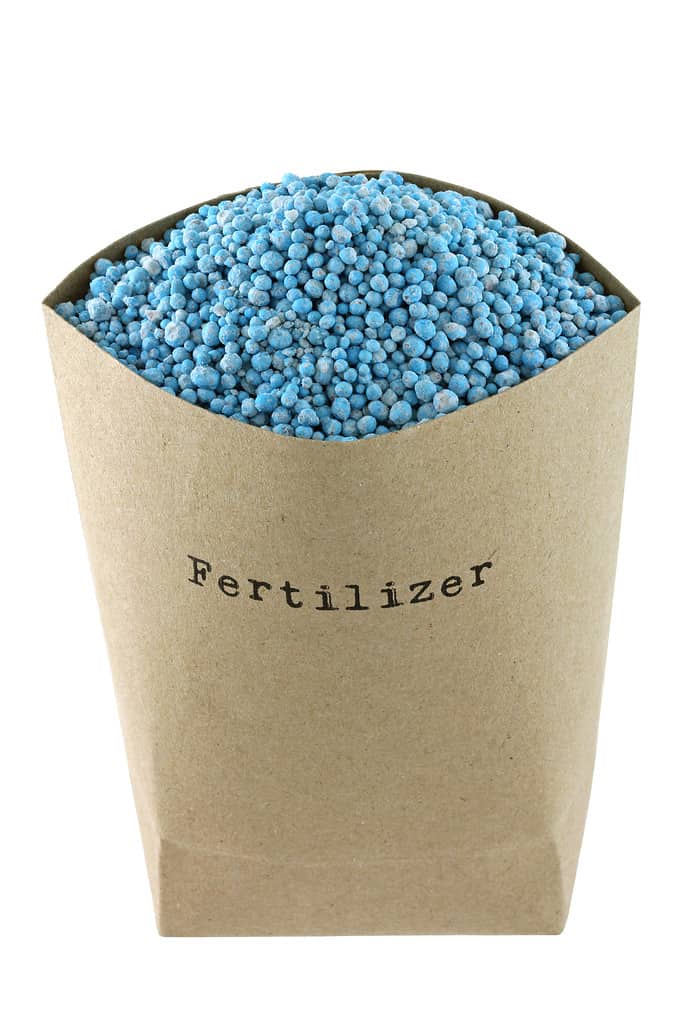 Brown paper bag full of Blue NPK compound chemical Fertilizer isolated on white background. NPK are Nitrogen, Phosphate, Potash